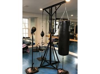 Fantastic RINGSIDE - Multi Station Boxing Trainer - Excellent Condition - Very Popular Setup