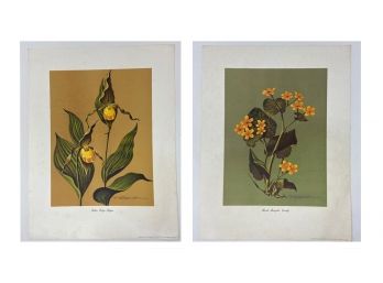 R.Shepardson Vintage Botanical Prints