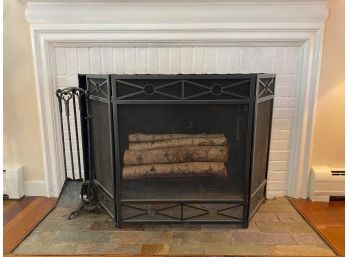 Lovely Fireplace Screen, Tools And Birch Logs