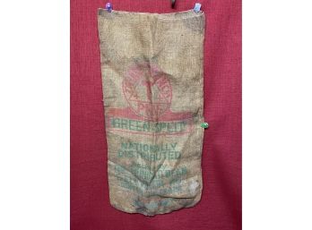 Cool Burlap Green Pea Bag