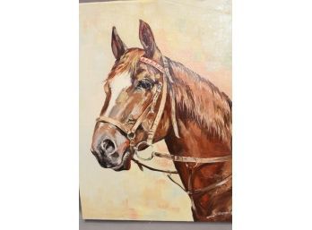 Wonderful Horse - Original Oil - Signed