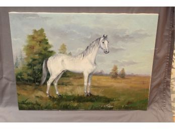 Original Oil Profile Of Stately White Horse - Signed From 1978