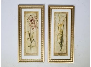 A Pair Of Botanical Prints In Gilt Wood Frames