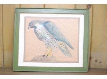 Beautiful Framed Bird Drawing