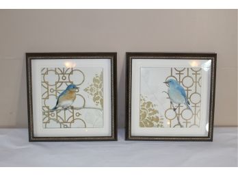 Pair Of Matching Framed Bird Prints