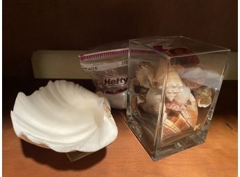 Sea Shells Collection