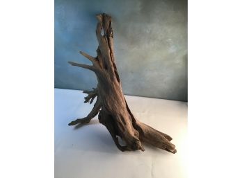 Driftwood 28'