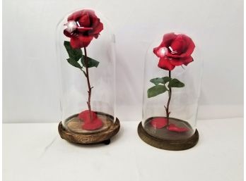 2 Enchanted Red Roses Under Glass Dome #1