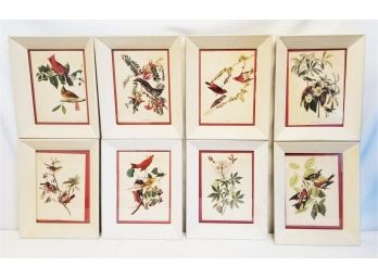 8 Framed Bird Prints: Humming Birds, Finches, Kingbird, Crossbill & More