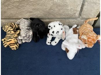 Collection Of Beanie Babies Dogs And Cats