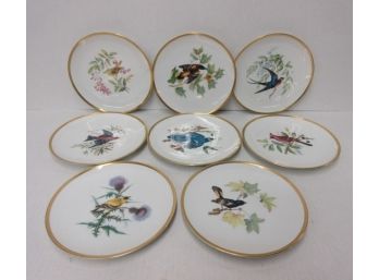 Lorenz Hutschenreuther Germany Full Set Of 8 Audubon Collection Plates