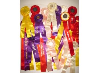 Nice Group Of 25 Vintage 1970s Horse Show Ribbons Fairfield County & Westchester