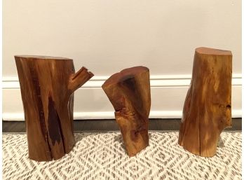 Sam DiCocco Handcrafted Wood Sculptures