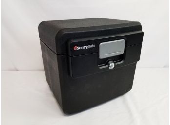 SentrySafe HD4100 Fireproof Safe & Waterproof Safe With Key Lock