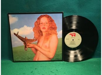 Blind Faith. Eric Clapton, Steve Winwood, Ginger Baker. Vinyl LP Record Album. The Naked Cover.