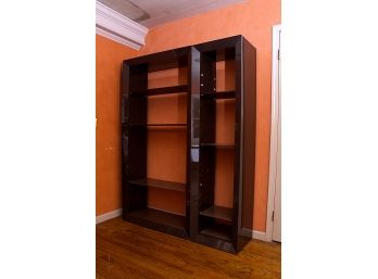 Contemporary Two Section Lacquered Bookshelf