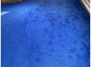 Bright Blue Area Rug