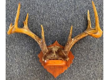 11 Point Mounted Rack