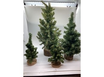 Lot Of Small Miniature Christmas Trees