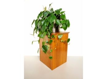 Vintage Danish Teak Pedestal Plant Stand By FBJ Denmark