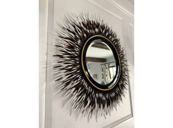 Incredible Porcupine Quill Mirror