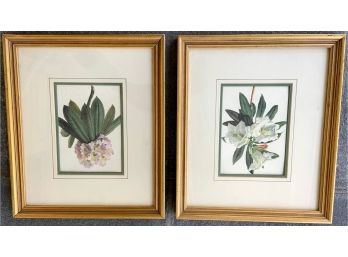 Pair Of Botanical Prints