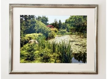 An Original Framed Nature Photograph By S.M. Friedman