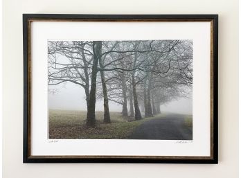 An Original Framed Photography By S.M. Friedman