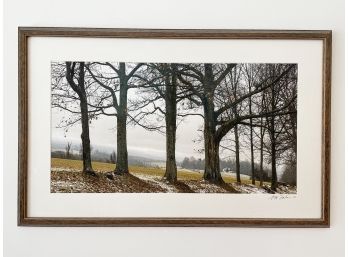 An Original Photograph Of Rockefeller Park By S.M. Friedman