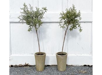 Faux Topiaries In Planters