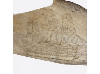Antique Scrimshaw Of A Clipper Ship On A Partial Fish Jaw