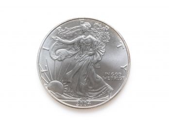 2004 American Silver Eagle, 1 Oz Fine Silver