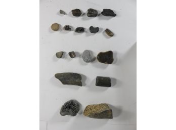 Misc Rock And Fossil Lot