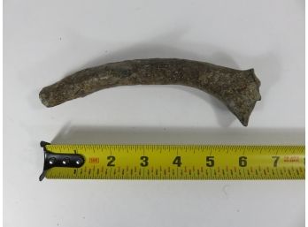 Petrified Antler