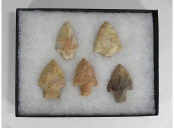 Lot Of 5 Arrowheads