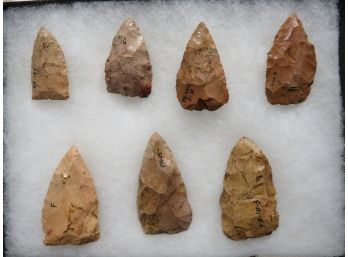 Lot Of 7 Arrowheads