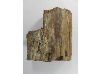 Petrified Wood