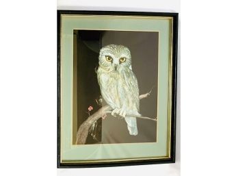 Vintage MCM Original Pencil And Ink Owl Artwork