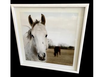 Mark MacKinnon Signed Framed Photograph Titled 'Dustin Blue' And Numbered 2/25