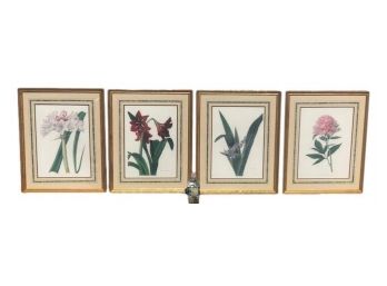 Set Of Four Framed Botanical Prints