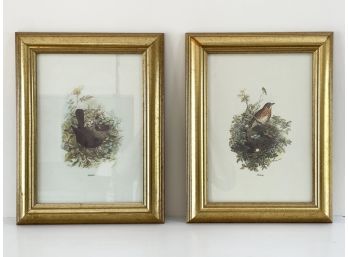 A Pair Of Vintage Ornithological Prints