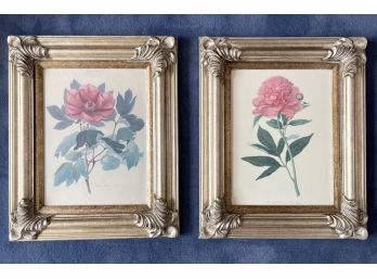 A Pair Of Vintage Botanical Prints In Gilt Wood Frames