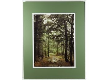 16' X 20' Matted & Signed Photograph (Nancy Stanich) - Cathedral Woods Path