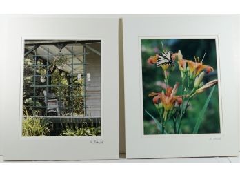 2 Signed Matted Photographs By Nancy Stanich - Summer Porch & Swallowtail & Day Lilies