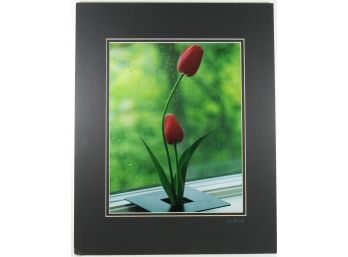 16' X 20' Matted & Signed Photograph (Nancy Stanich) - Tulips And Rain