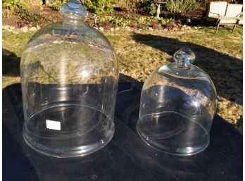 Glass Dome Food Covers.  Great For Pastries And Outdoor Entertaining.