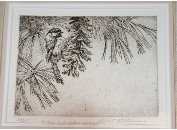 Beautifully Framed! Robert Bateman Bird And Evergreen Signed Etching