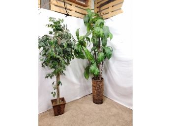 Two Faux Indoor Trees