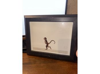 Computer Generated Photograph Of A Monkey, Signed SM