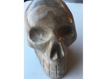 8 Lb Petrified Wood Skull